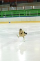 2014_01_12_2822